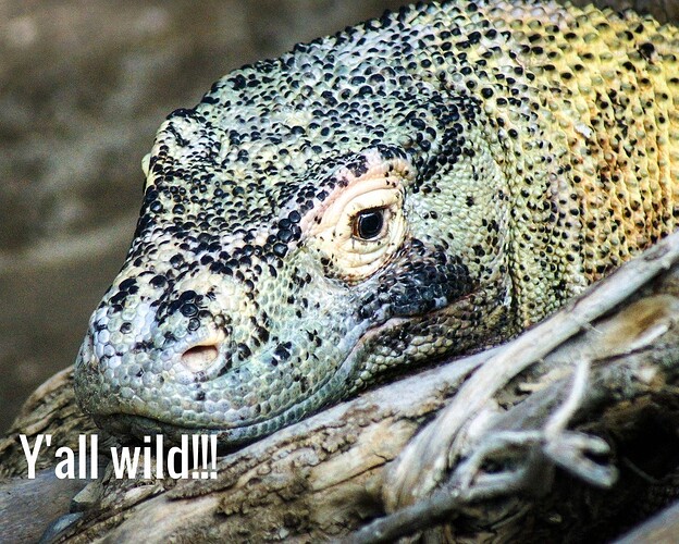 komodo_wild_new