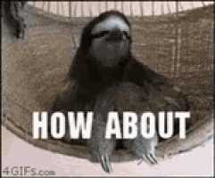 how-about-no-sloth