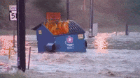 dumpster_fire2